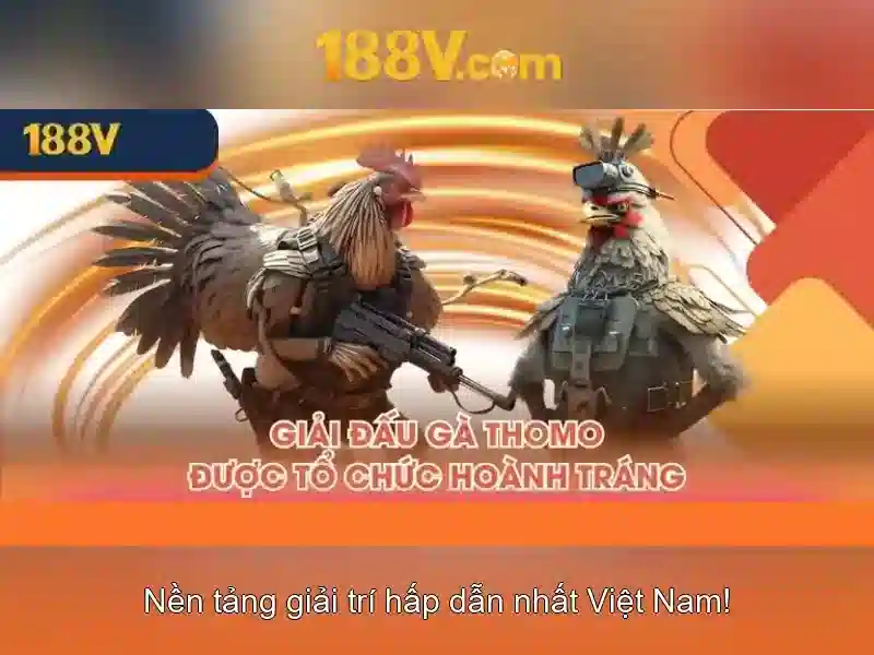 Trải nghiệm casino trực tiếp 8K